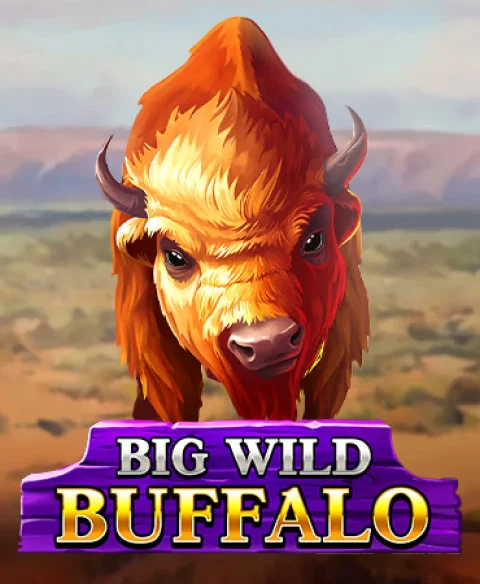 Play Big Wild Buffalo at Crazy Fox Casino